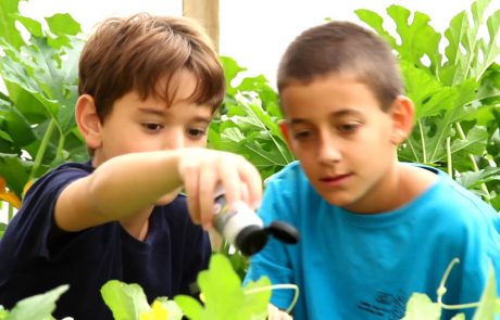 The Arava – From Agricultural Innovation to Educational Innovation